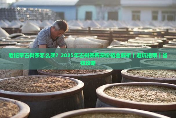 老班章古树购买购价