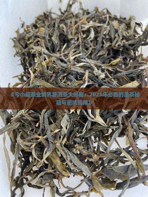 今小福茶业境界普洱茶