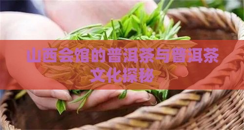 山西会馆普洱茶好吗