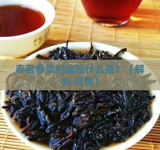 春茗春雪是什么茶