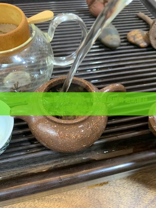 班章老寨茶厂厂址