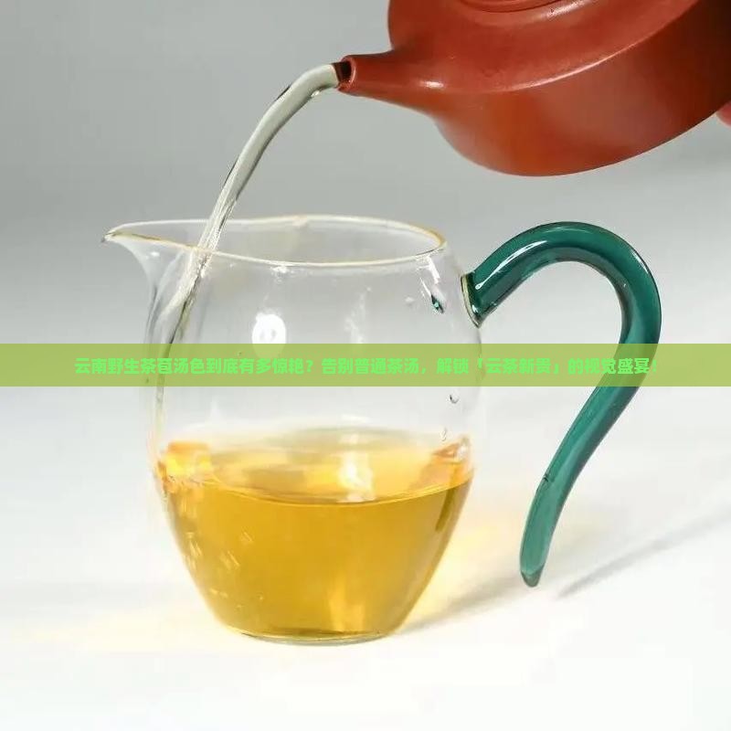 云南野生茶苞汤色
