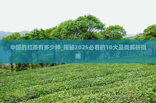 中国的红茶有多少种