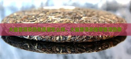 海口大益普洱茶熟茶怎么样