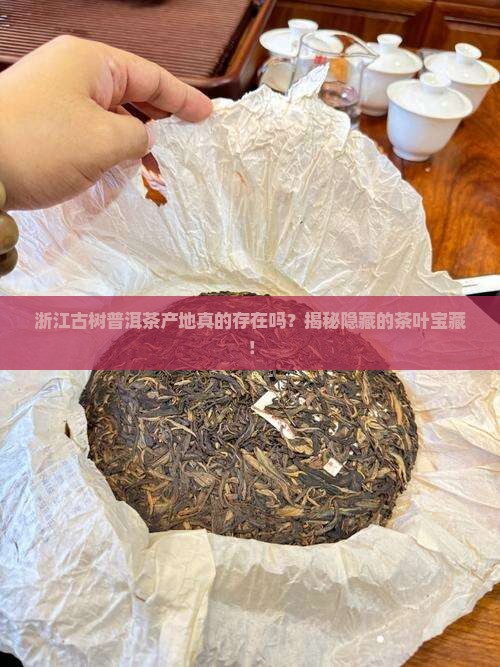 浙江古树普洱茶产地
