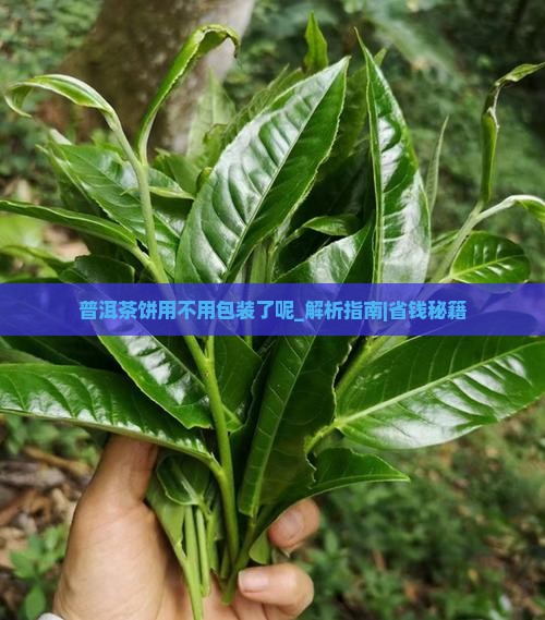 普洱茶饼用不用包装了呢