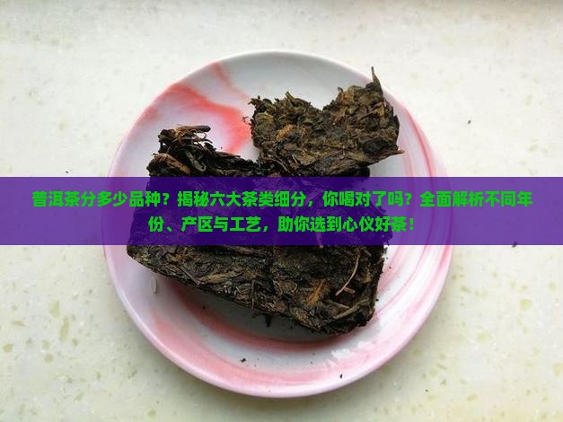 普洱茶分多少品种