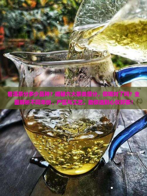 普洱茶分多少品种