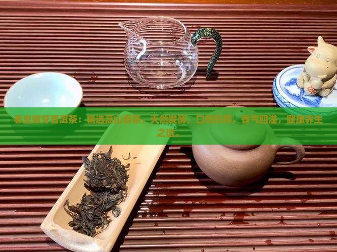 春皇嫩芽普洱茶