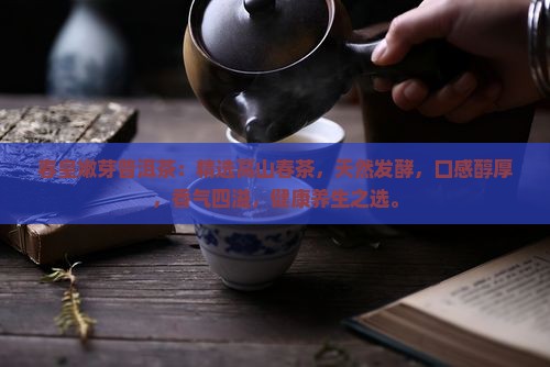 春皇嫩芽普洱茶