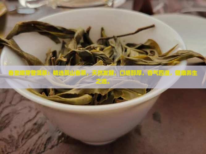 春皇嫩芽普洱茶