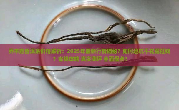 乔木熟普洱茶价格