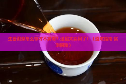 生普洱茶咋存放不发霉呢