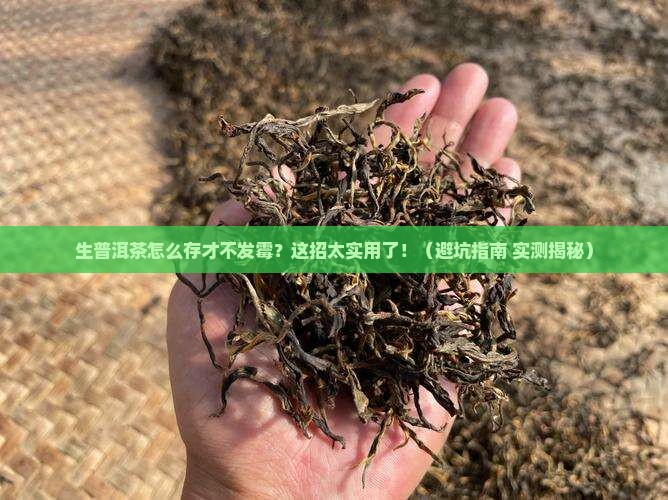生普洱茶咋存放不发霉呢