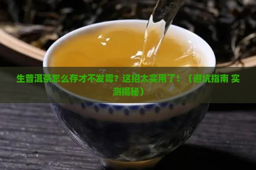 生普洱茶咋存放不发霉呢