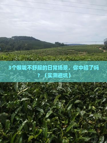 对喉咙好的养生茶