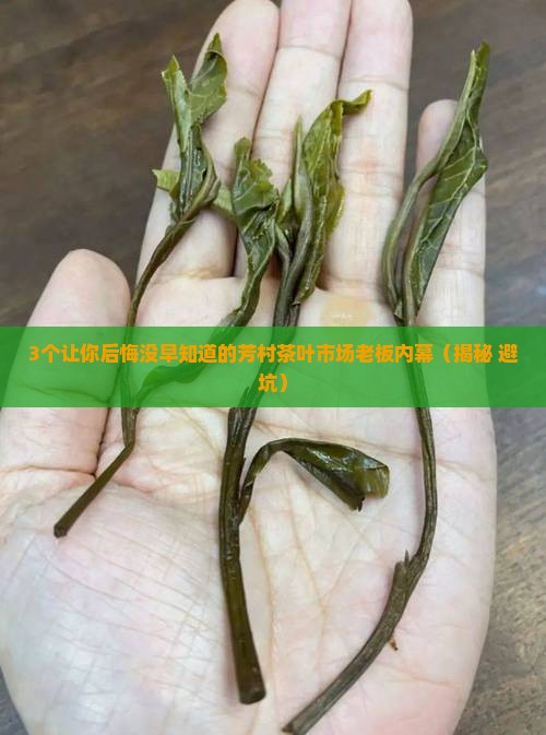 芳村茶叶市场老板