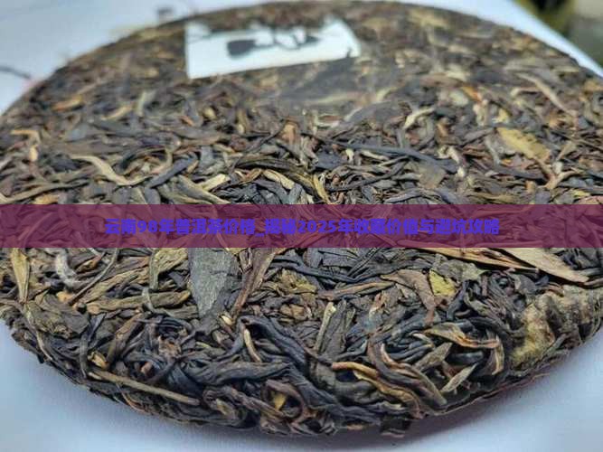 云南98年普洱茶价格