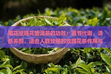 菊花玫瑰花普洱茶的功效