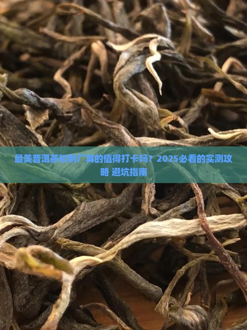 最美普洱茶初制厂