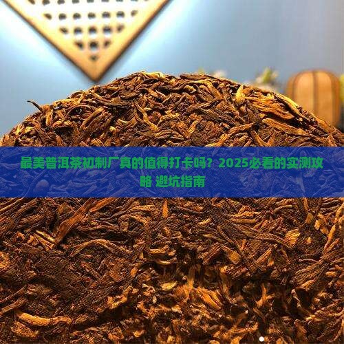 最美普洱茶初制厂