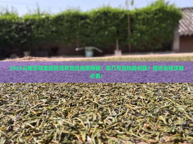 云南百濮龙团普洱茶竞拍结果
