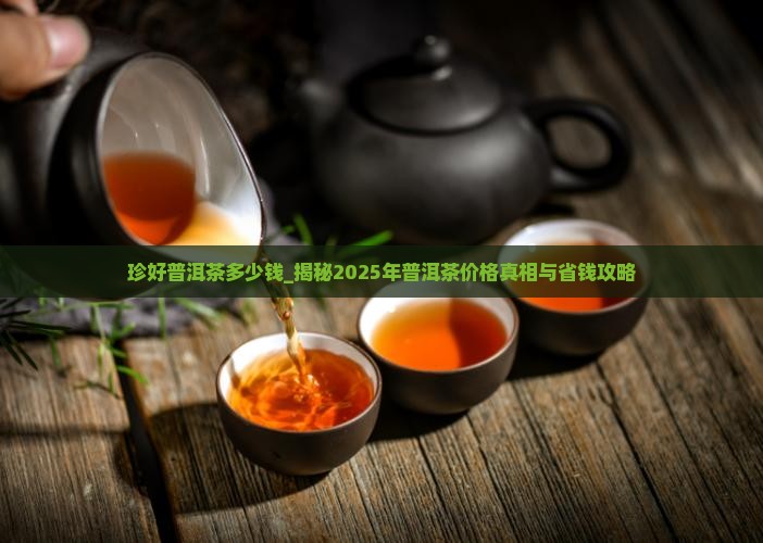 珍好普洱茶多少钱