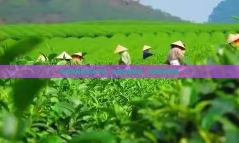 大益茶包装手法