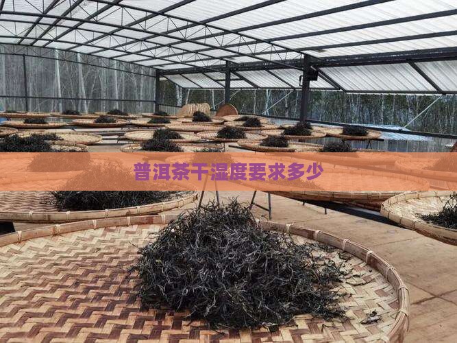 普洱茶干湿度要求多少