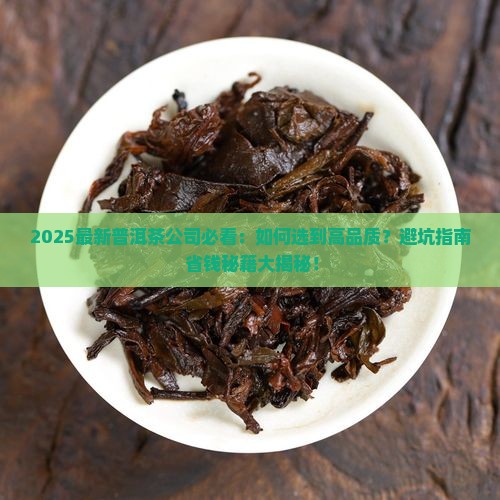 最新普洱茶公司
