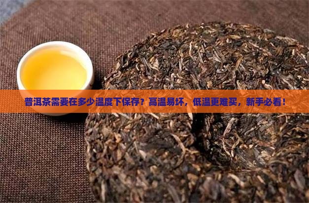 普洱茶需要在多少温度下保存