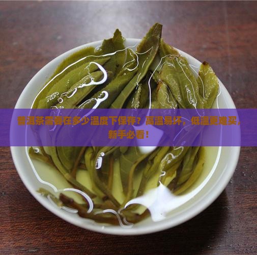 普洱茶需要在多少温度下保存