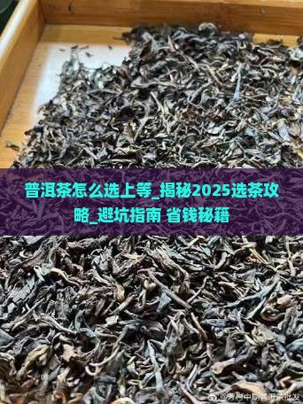 普洱茶怎么选上等