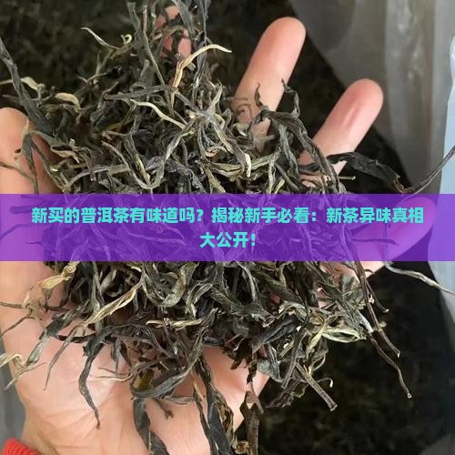 新买的普洱茶有味道吗吗