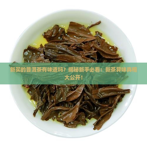 新买的普洱茶有味道吗吗