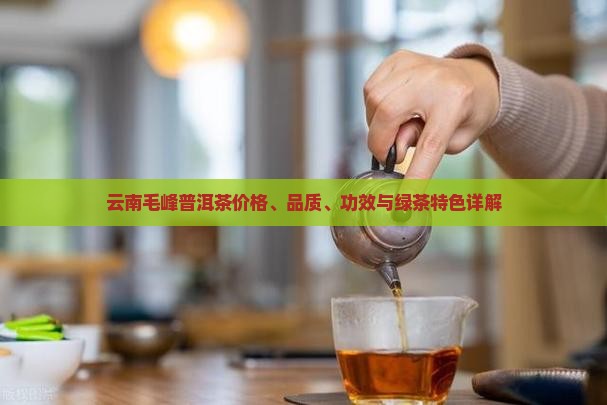 云南毛峰普洱茶