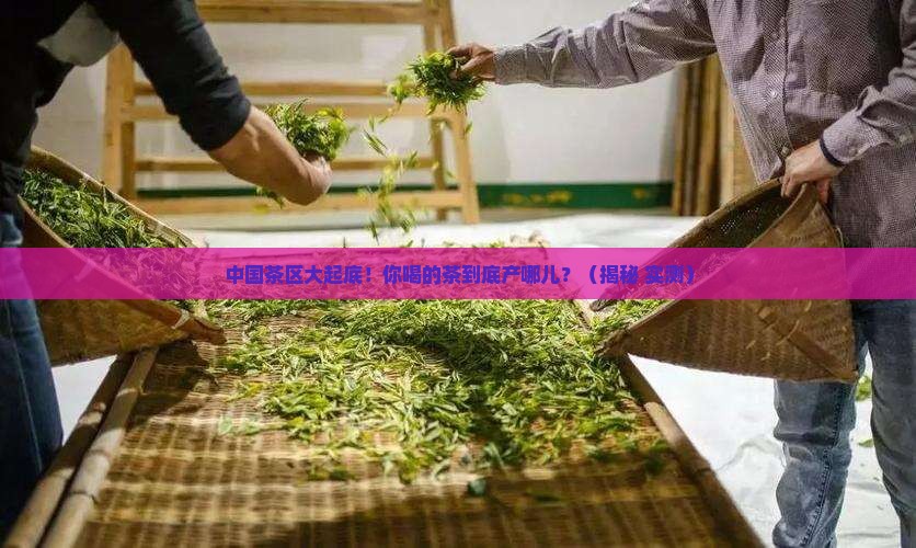 我国茶区的分布各茶区的基本情况