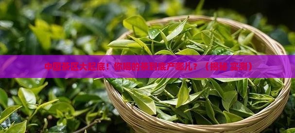 我国茶区的分布各茶区的基本情况