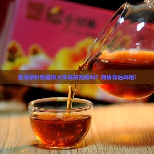 普洱茶价格差很大