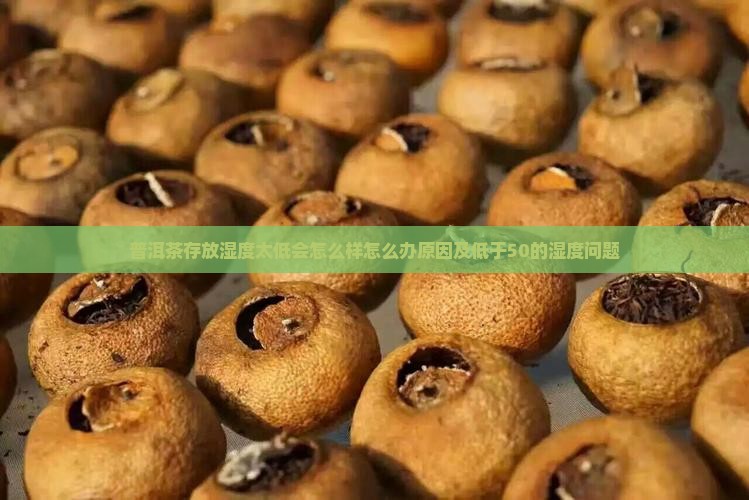 普洱茶存放湿度太低