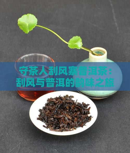 守茶人刮风寨普洱茶