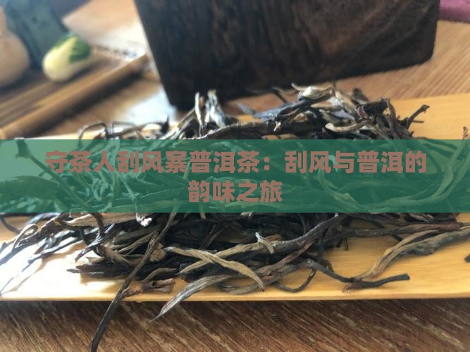 守茶人刮风寨普洱茶