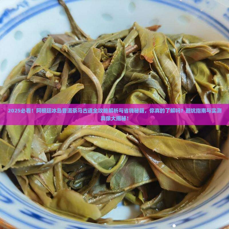 阿根廷冰岛普洱茶马古道