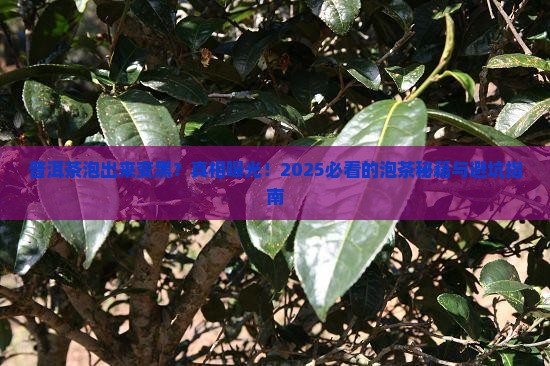 普洱茶泡茶变黑