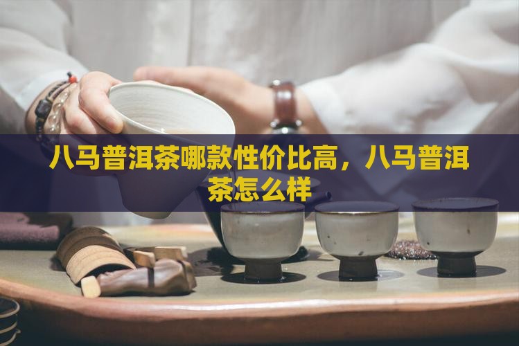 八马普洱茶哪款性价比