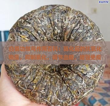 老白茶的功效与作用百度百科
