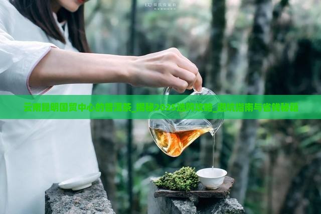 云南昆明国贸中心的普洱茶