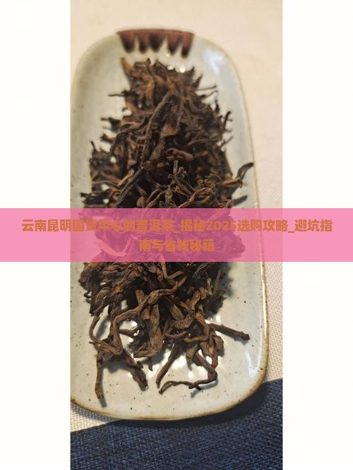 云南昆明国贸中心的普洱茶
