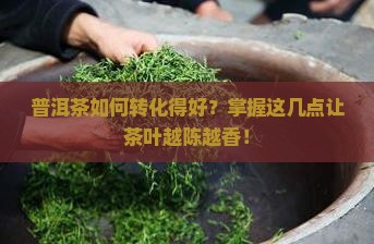 普洱茶如何转化得好