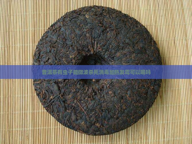 普洱茶有虫子能微波